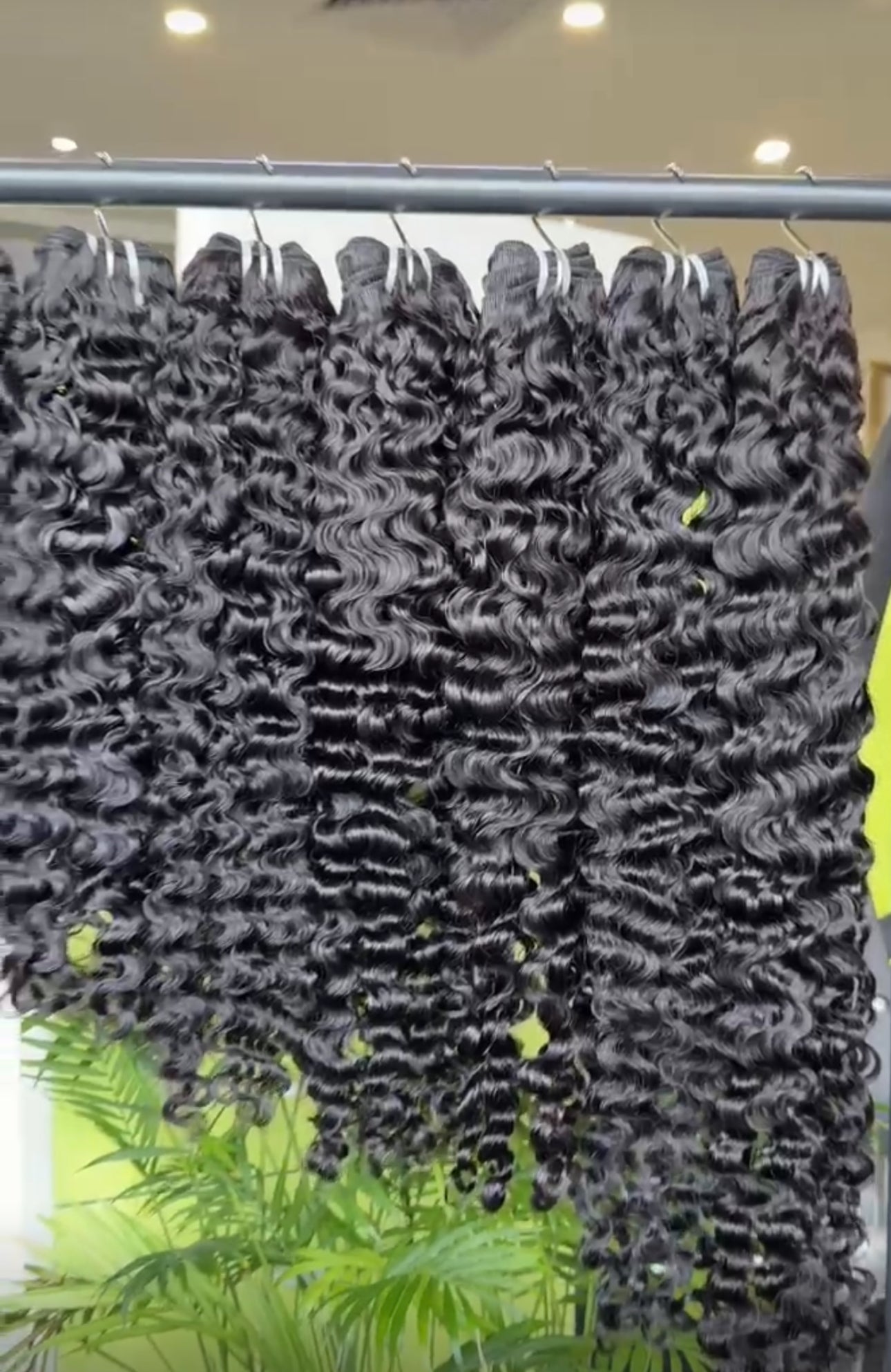 Burmese Curly Bundle Deals